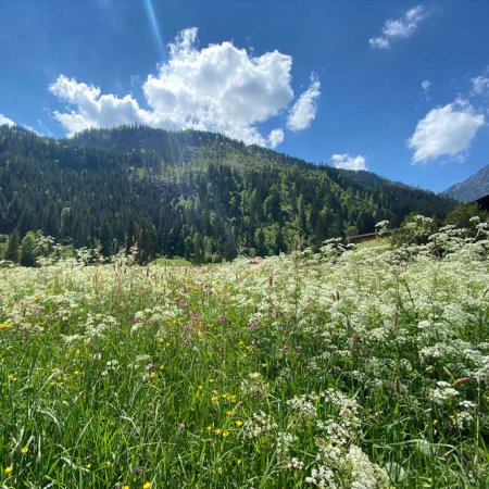 Wanderung zur Vilser Hütte