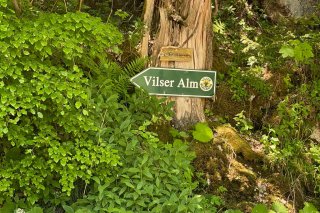 naturparkregion_reutte_wanderung_vilser_alm.jpg