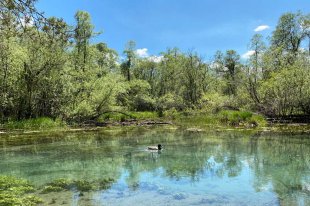 naturparkregion_reutte_see_vilser_alm.jpg