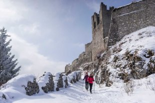 winterwandern_reutte_c_peter_neusser.jpg