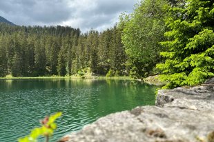 naturparkregion_reutte_frauensee.jpg