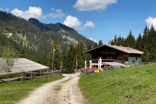 naturparkregion_reutte_vilser_alm.jpg