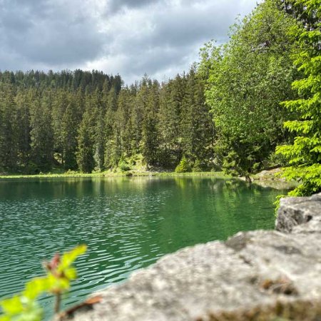 Frauensee in Reutte